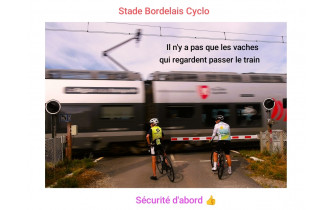 Sortie Médocaine