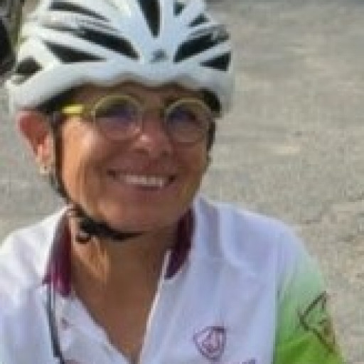 Dominique Jolfre